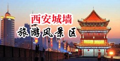 美女被爆干视频中国陕西-西安城墙旅游风景区